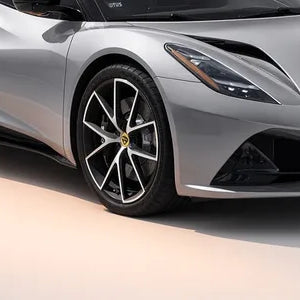 lotus floor mats