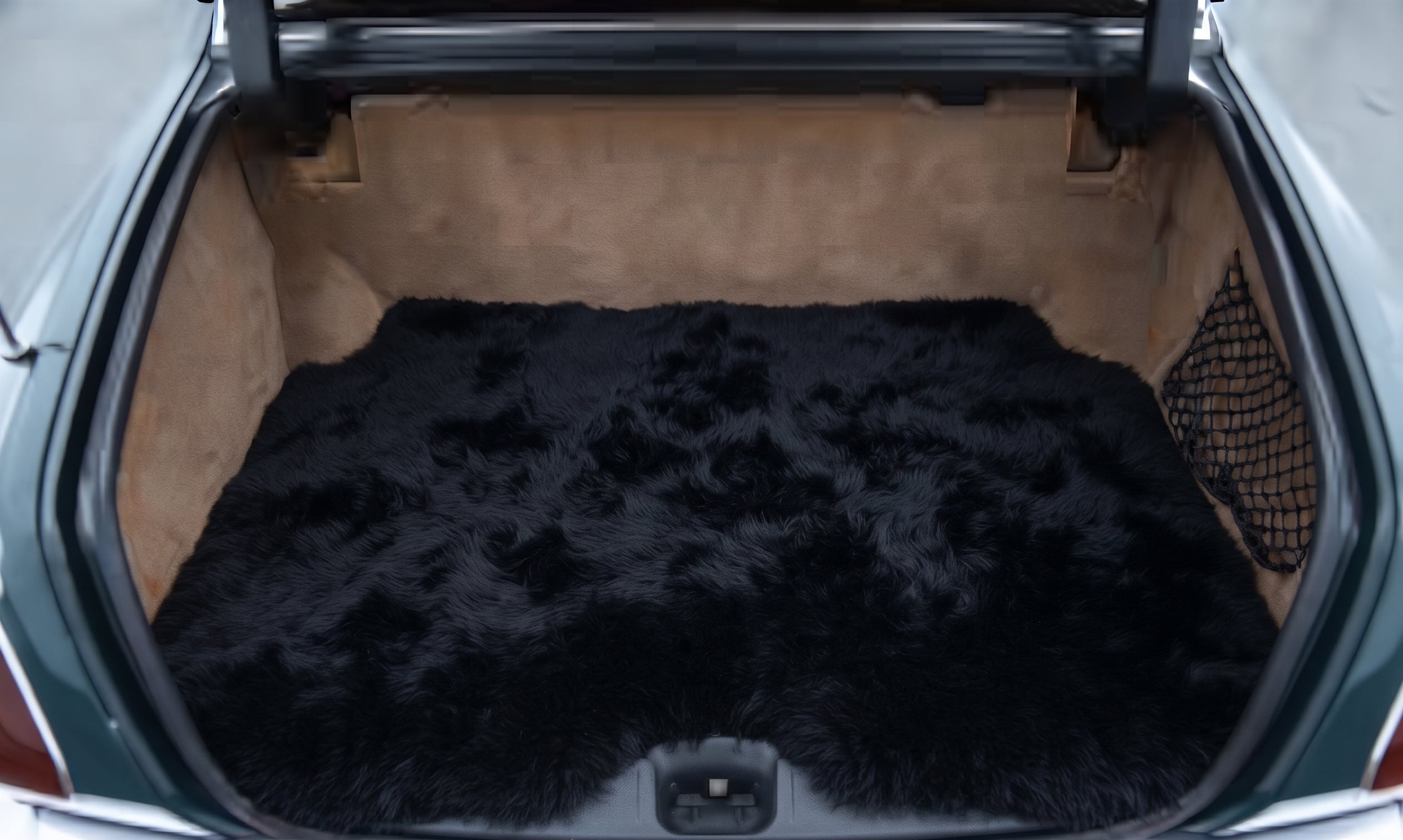 Arnage